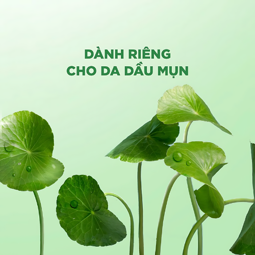 Trọn Bộ Chăm Sóc Da Chiết Xuất Rau Má Kiềm Dầu Giảm Mụn VERLIA